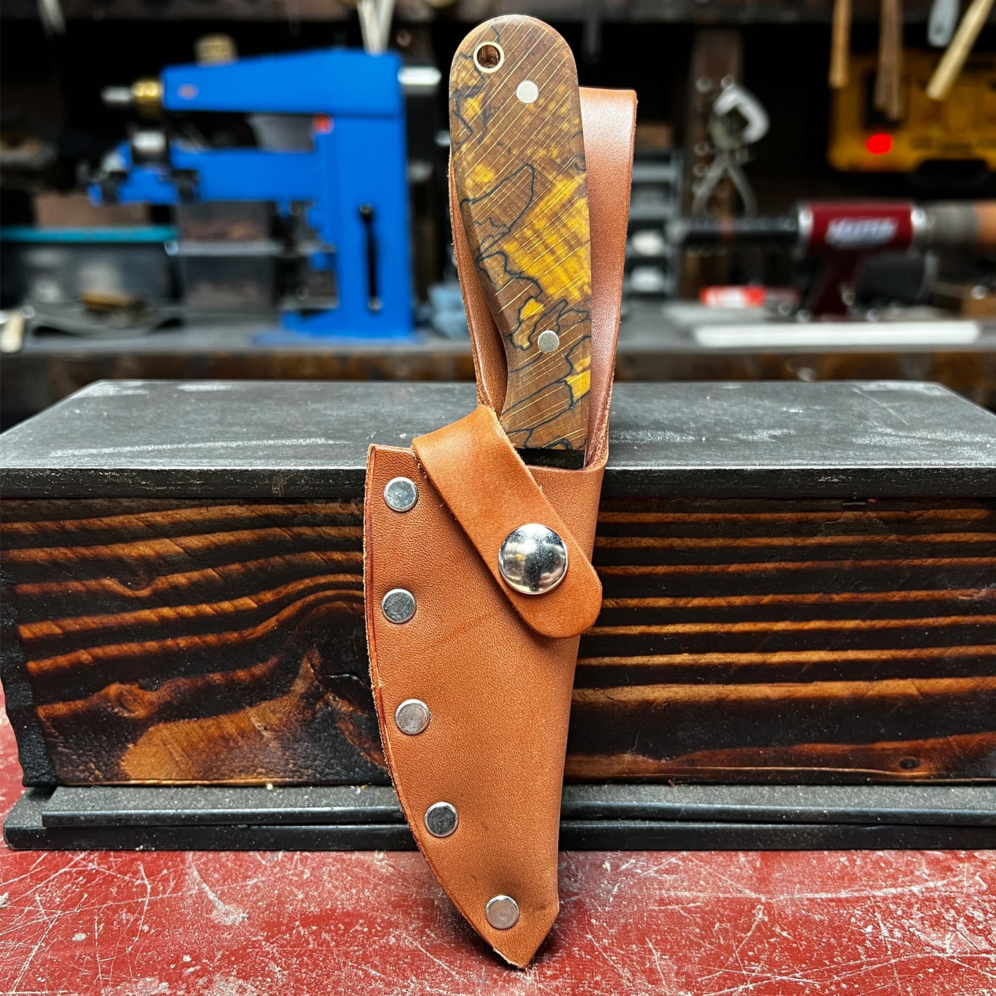 Custom M3 - Orange Spalted Beech & Mirror Polished